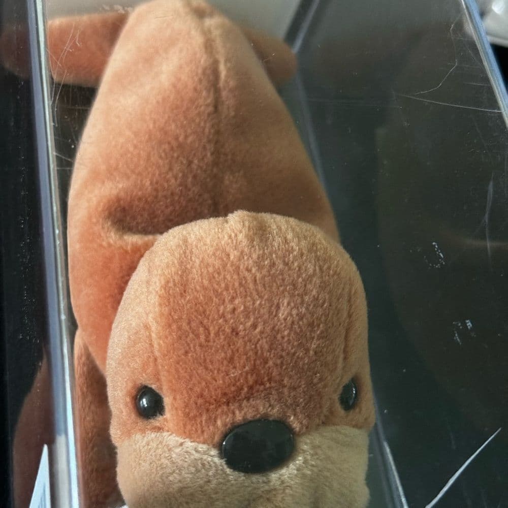 Rare TY Beanie Baby TUSK the Walrus 4076 with 3rd Gen HT and 1st Gen Tush Tag - Thumbnail 3