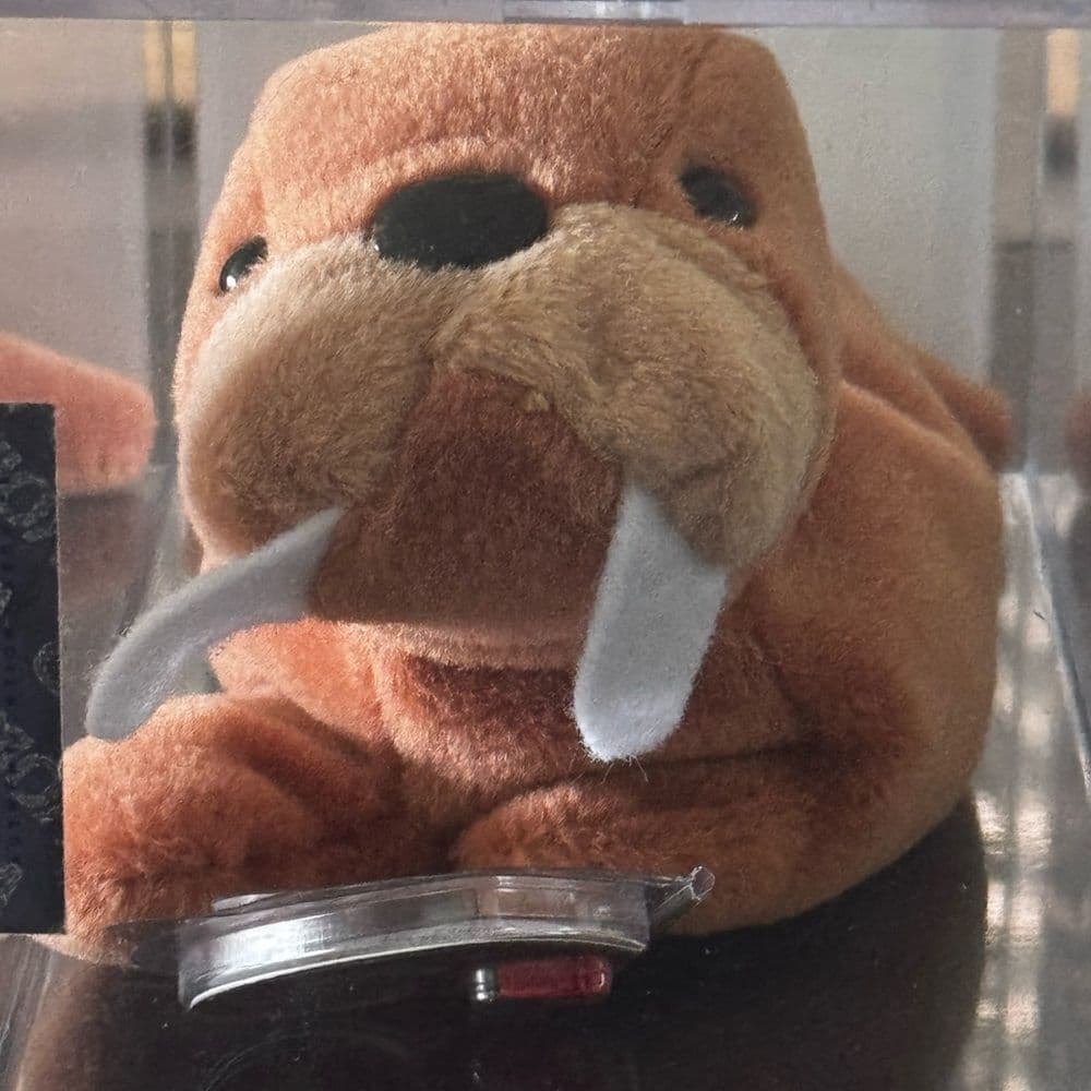 Rare TY Beanie Baby TUSK the Walrus 4076 with 3rd Gen HT and 1st Gen Tush Tag - Thumbnail 2