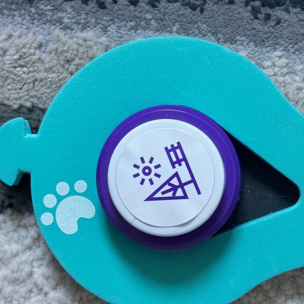 Dog Talking Button Set with Non-Slip Pad (Green) - 4X - Thumbnail 5