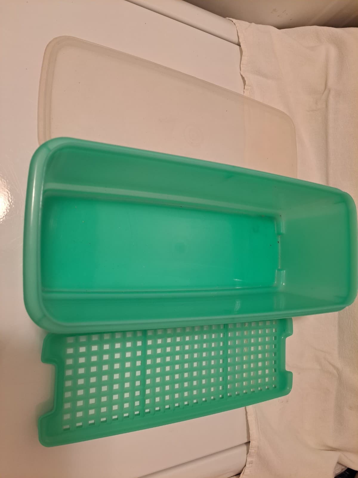 TUPPERWARE Green Celery Keeper w/Insert Produce Storage Container 782-1 VTG - Thumbnail 2