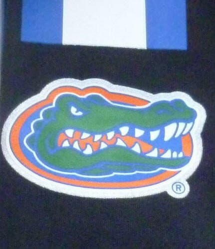 Nike Women's Florida Gators Champ Drive College Logo Dri-FIT Tights Black XL - Thumbnail 7