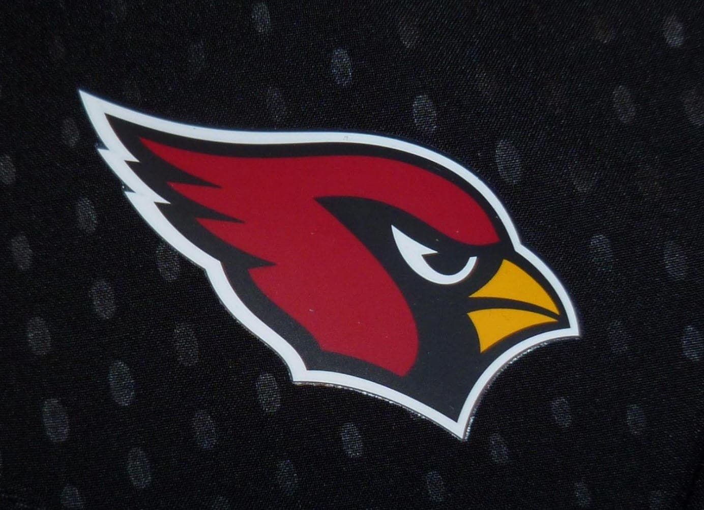 Nike Women's Arizona Cardinals Dri-Fit Mod Tempo Shorts Anthracite X-Large Black - Thumbnail 6
