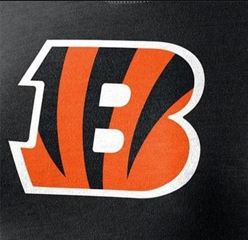 Nike Women's Cincinnati Bengals Basic Logo Cotton T-shirt Black Large - Thumbnail 2