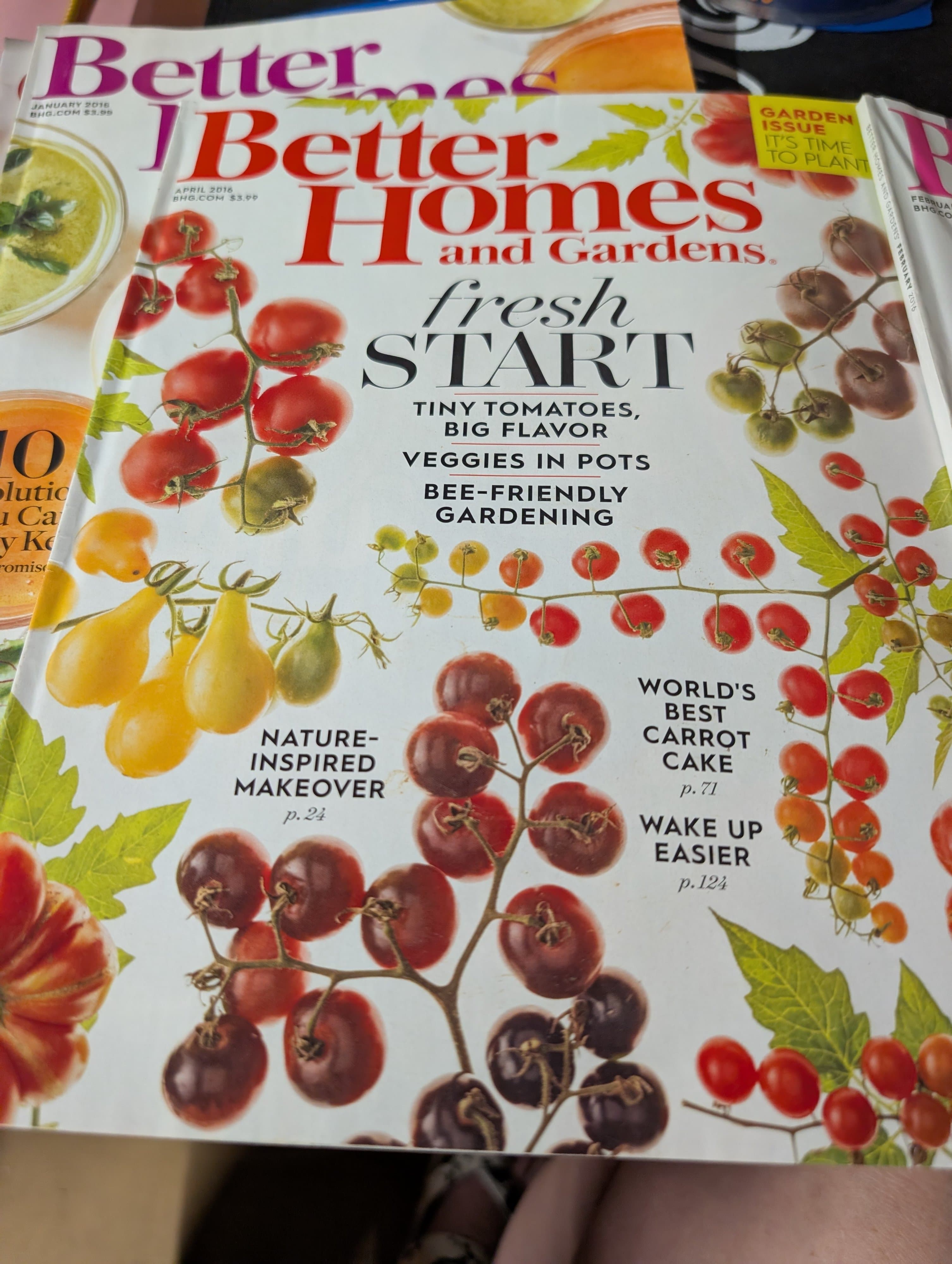 Better Homes and Gardens Magazines January & February 2016 - Thumbnail 4