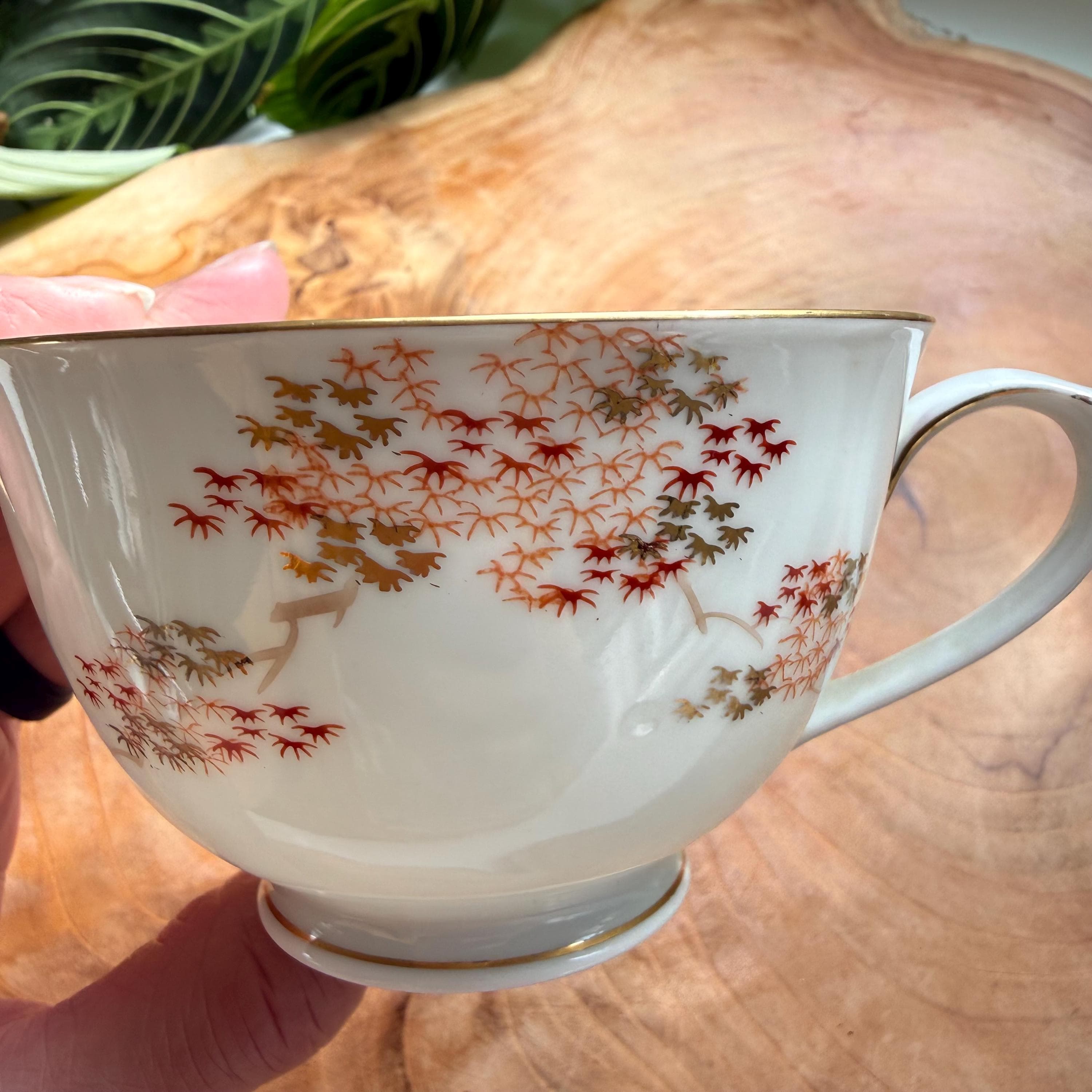 Fukagawa Arita Maple Snack Set: Japanese Porcelain Cup and Plate - Thumbnail 11