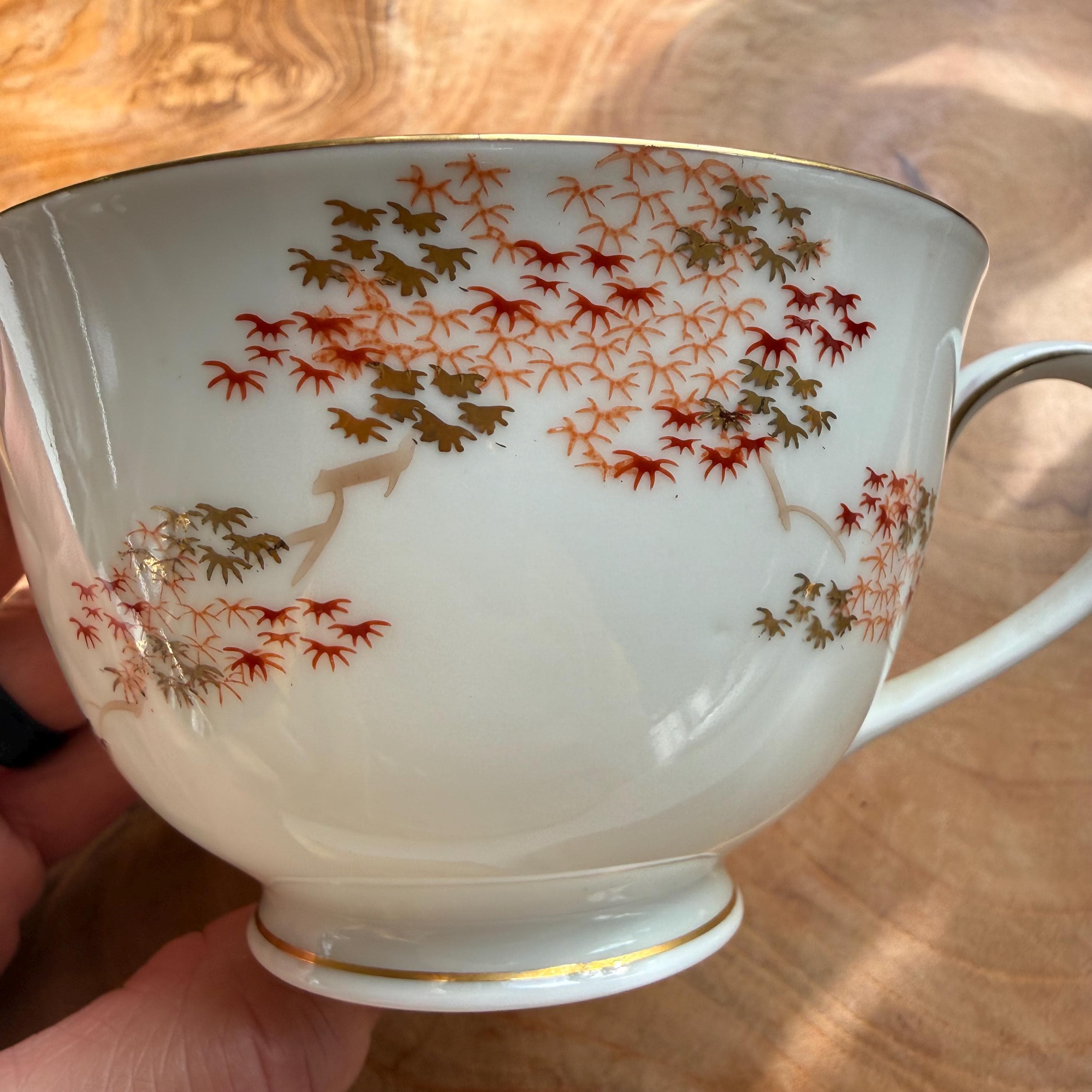 Fukagawa Arita Maple Snack Set: Japanese Porcelain Cup and Plate - Thumbnail 10