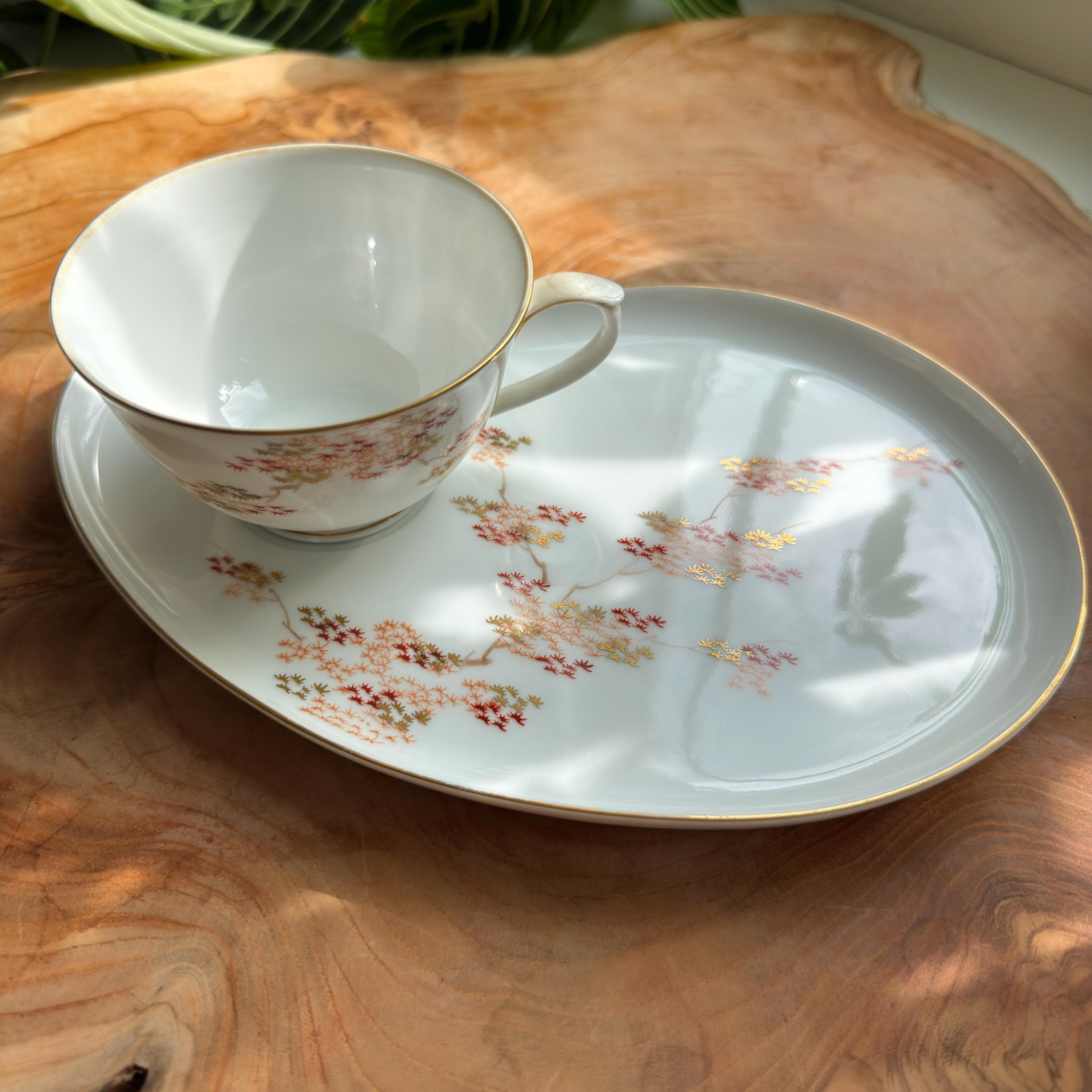 Fukagawa Arita Maple Snack Set: Japanese Porcelain Cup and Plate - Thumbnail 3