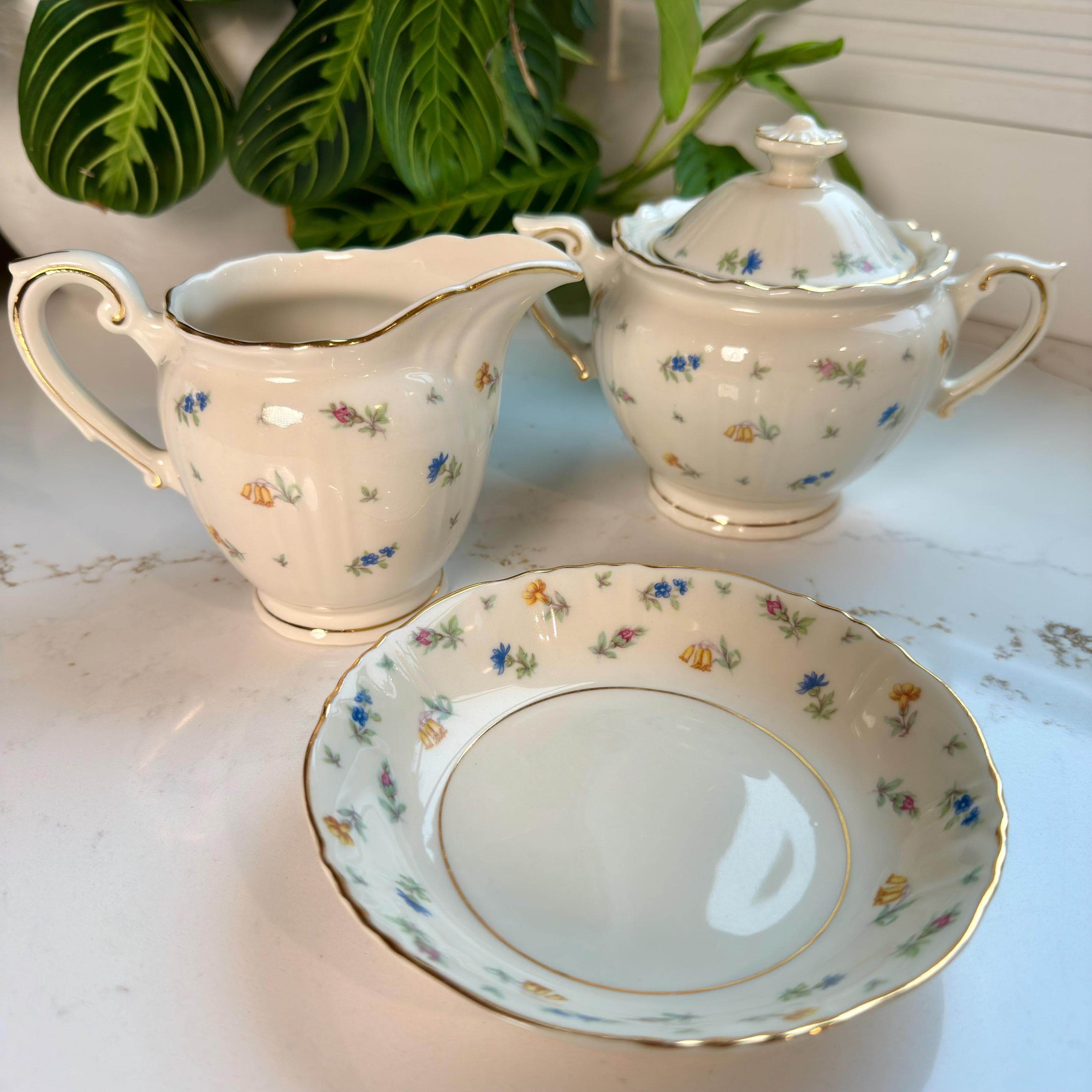 Vintage Syracuse China Federal Shape Set | Floral Restaurant Ware - Thumbnail 12