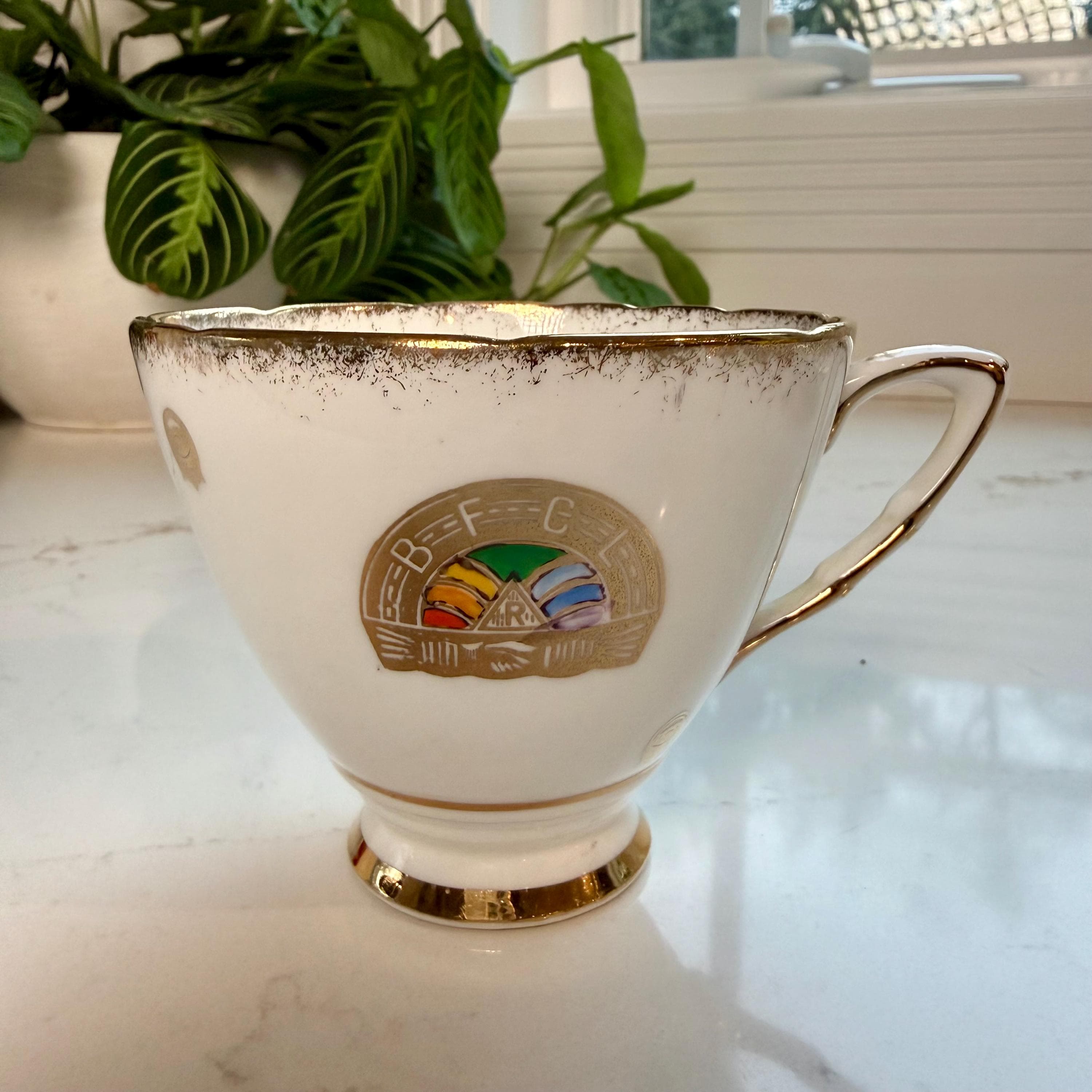 Vintage Royal Stafford Tea Cup and Saucer | English Bone China, Gold Trim - Thumbnail 3