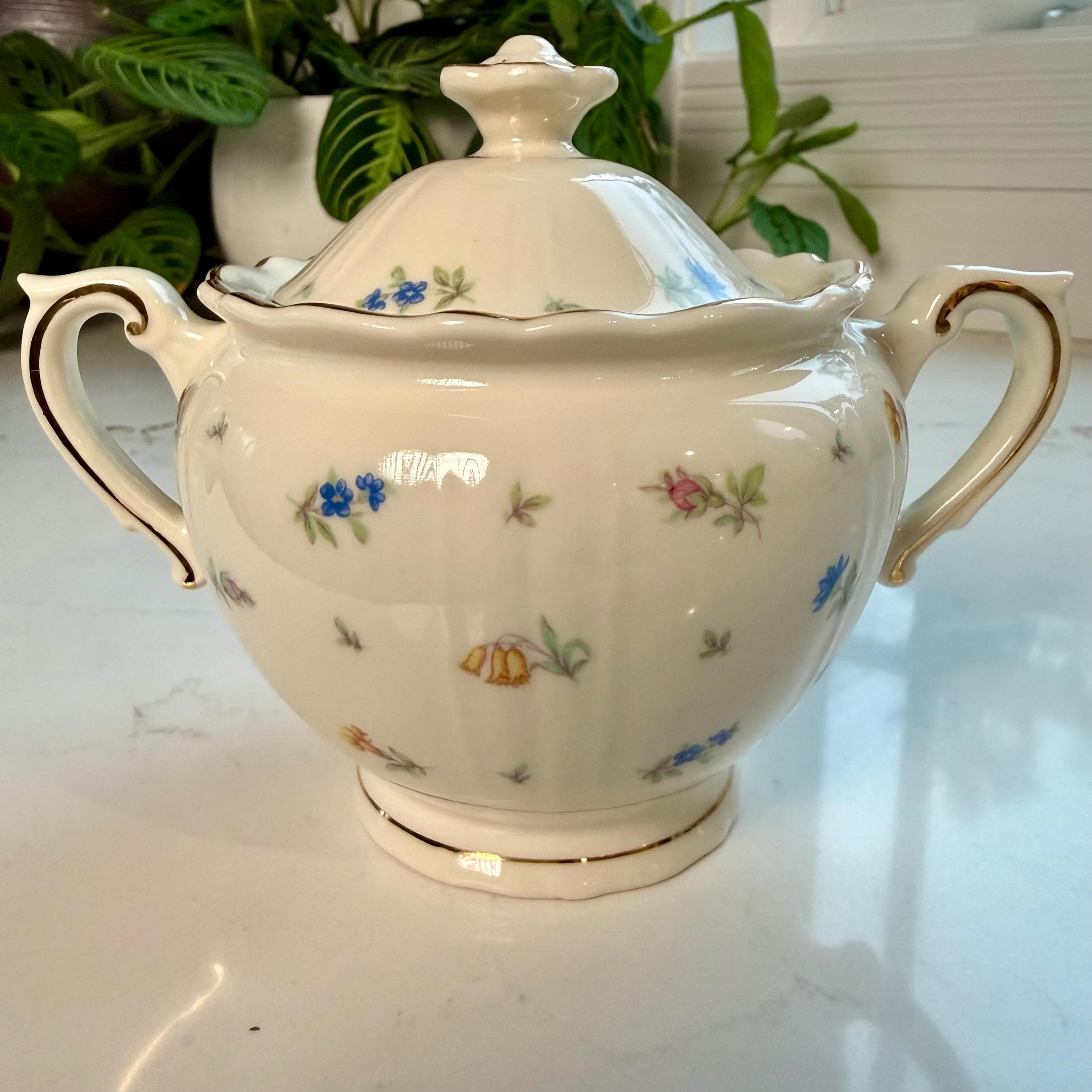 Vintage Syracuse China Federal Shape Set | Floral Restaurant Ware - Thumbnail 3