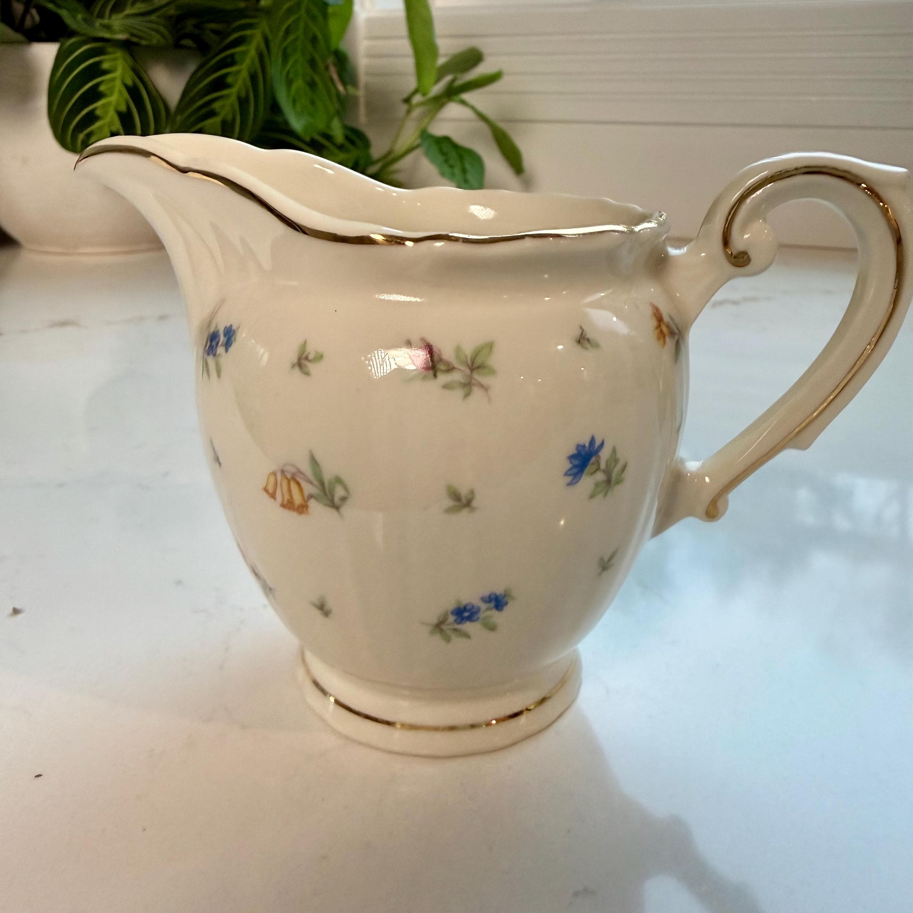 Vintage Syracuse China Federal Shape Set | Floral Restaurant Ware - Thumbnail 5