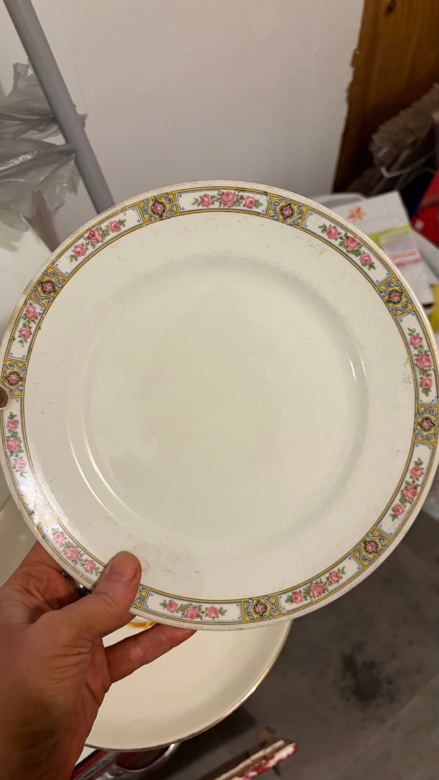 Vintage Alfred Marion porcelain luncheon plates