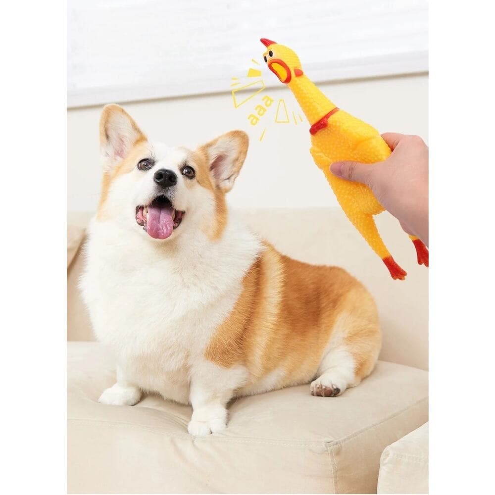 Dog Squeaky Toy Chew Resistant Self-Entertainment Squeak Chicken Pet Sound Toy - Thumbnail 10