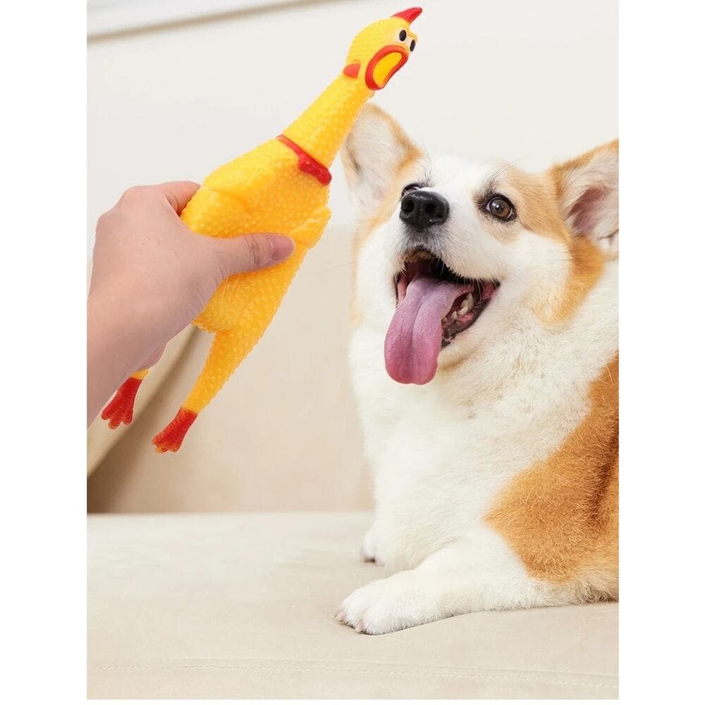 Dog Squeaky Toy Chew Resistant Self-Entertainment Squeak Chicken Pet Sound Toy - Thumbnail 9