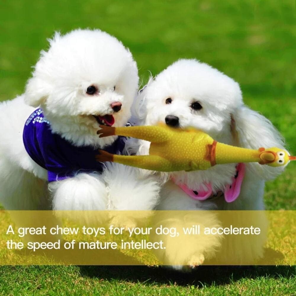 Dog Squeaky Toy Chew Resistant Self-Entertainment Squeak Chicken Pet Sound Toy - Thumbnail 4