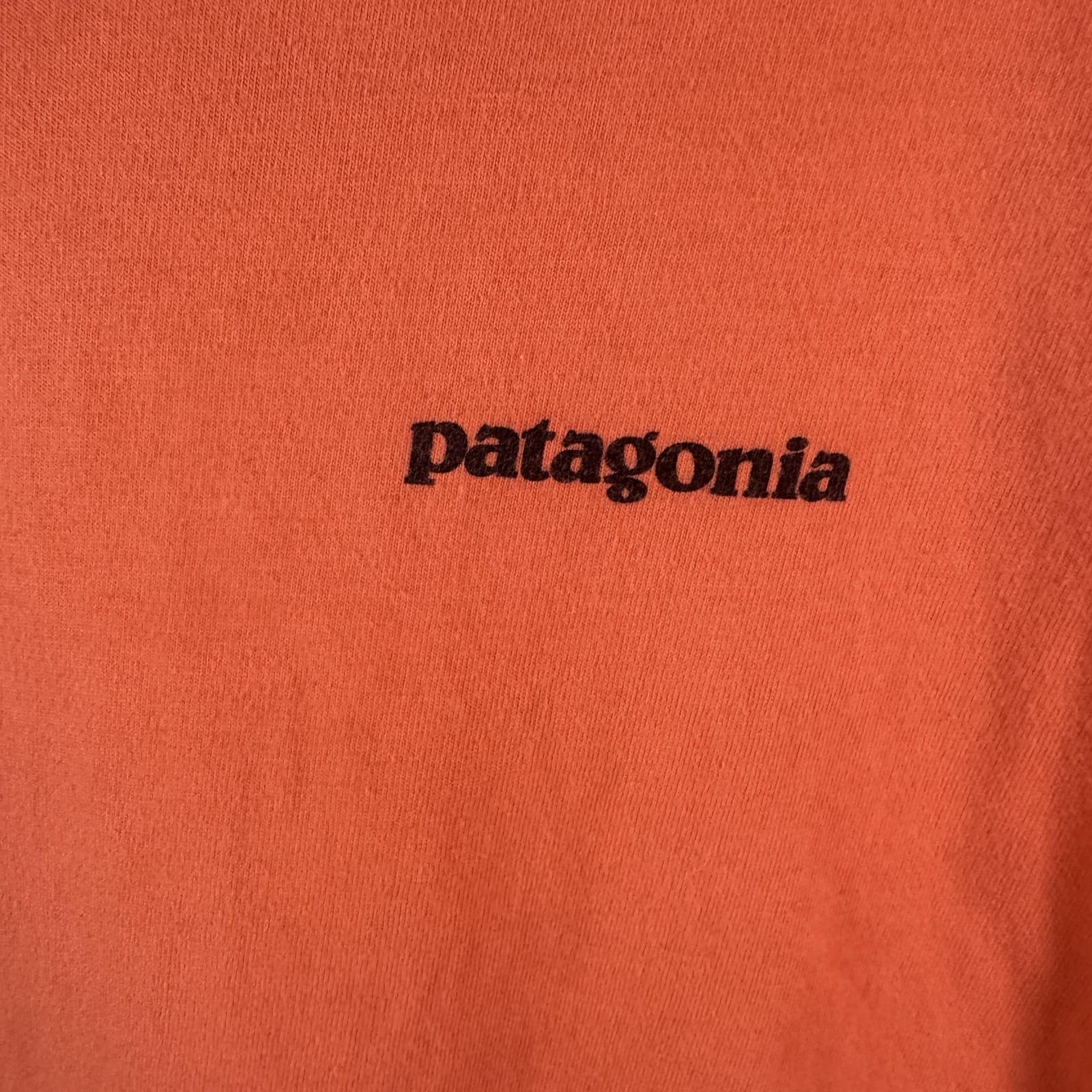 Patagonia Organic Cotton P-6 Logo Short Sleeve Tee Shirt Mens S Orange - Thumbnail 3