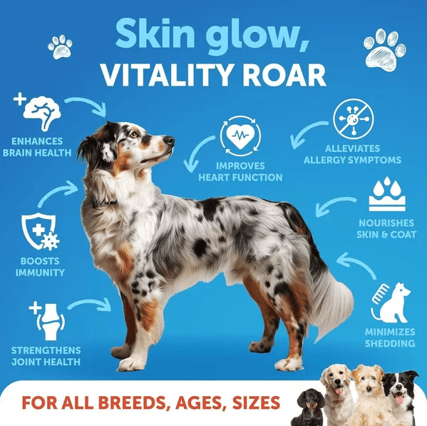 Salmon Oil For Dogs 3 For Dogs 8 FL OZ Wild Alaskan Salmon Fish Oil - Thumbnail 4