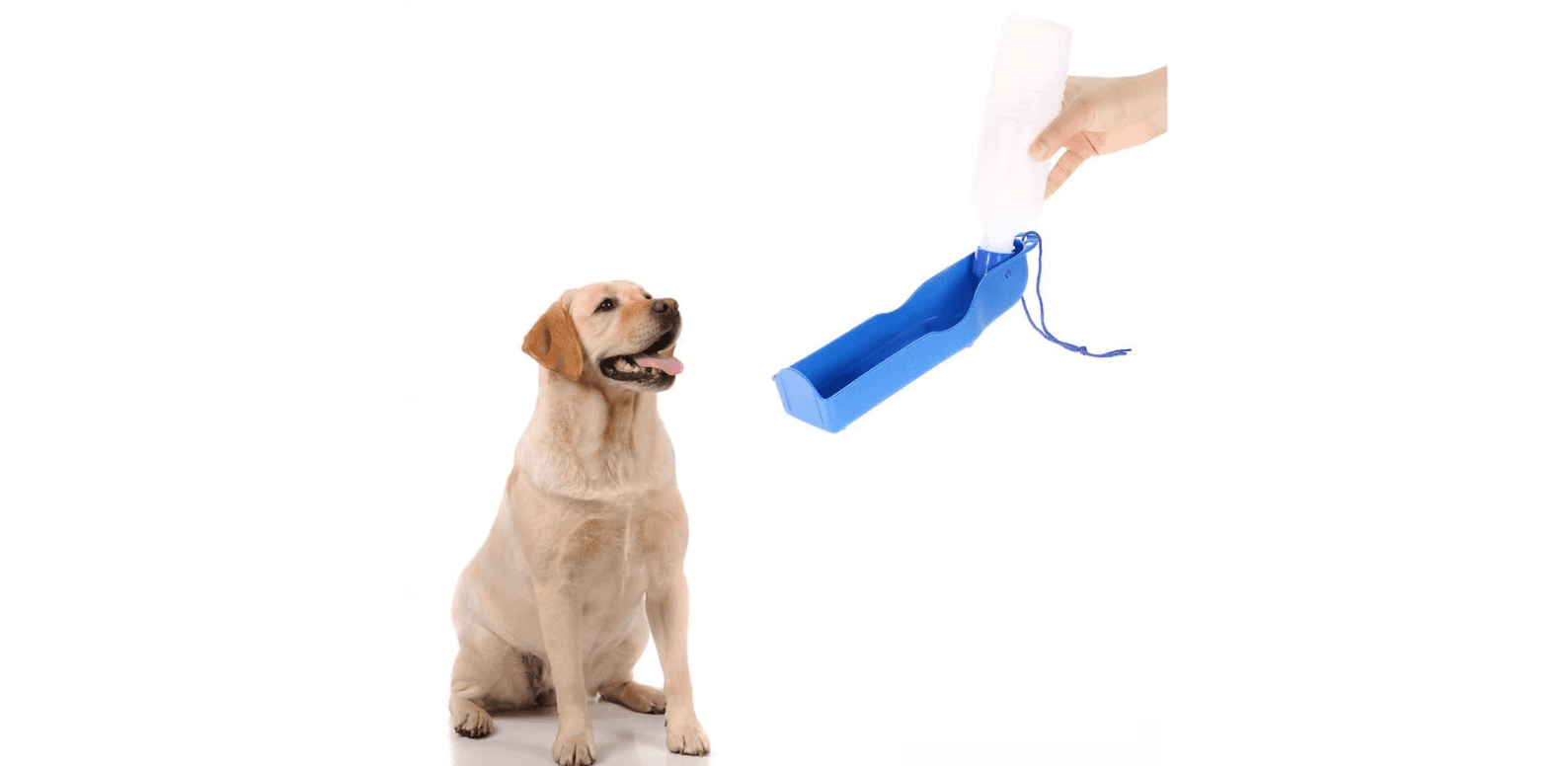 Pet Water Bottle, Pet Water Dispenser Portable Dog - Thumbnail 7