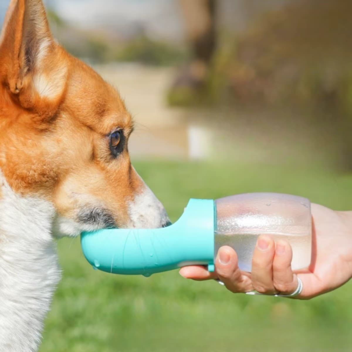 Dog Water Bottle Portable Pet Cats Travel Dispenser Proof Leak Outdoor Drinker - Thumbnail 6