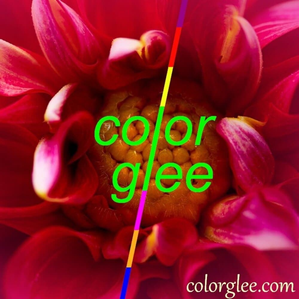 Lindy Jessa Colorful Black Butterfly Necklace Earrings Set Gift Packaged - Thumbnail 4
