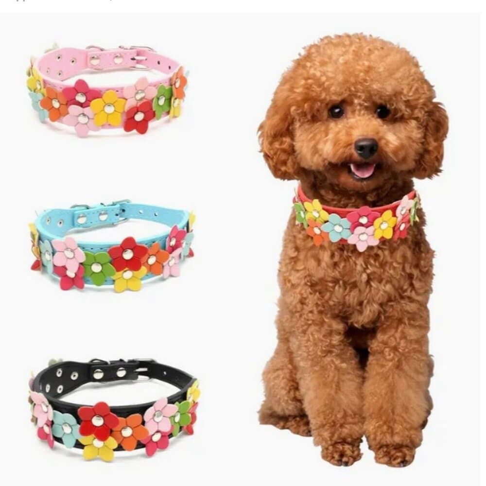 Della Terese Colorful Flowers on Rosy Red Dog Collar Extra Small Gift Packaged - Thumbnail 2
