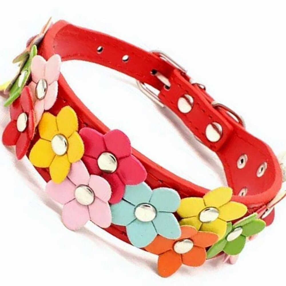 Della Terese Colorful Flowers on Rosy Red Dog Collar Extra Small Gift Packaged - Thumbnail 4
