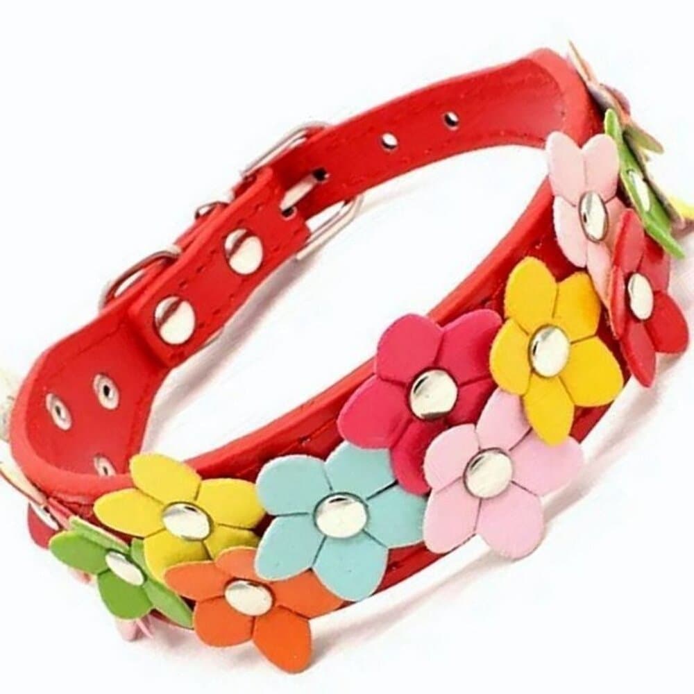 Della Terese Colorful Flowers on Rosy Red Dog Collar Extra Small Gift Packaged - Thumbnail 9