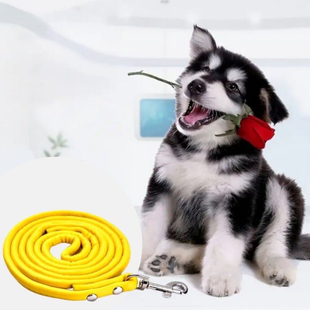Xander Rey Yellow Leather Dog Leash Gift Packaged - Thumbnail 4