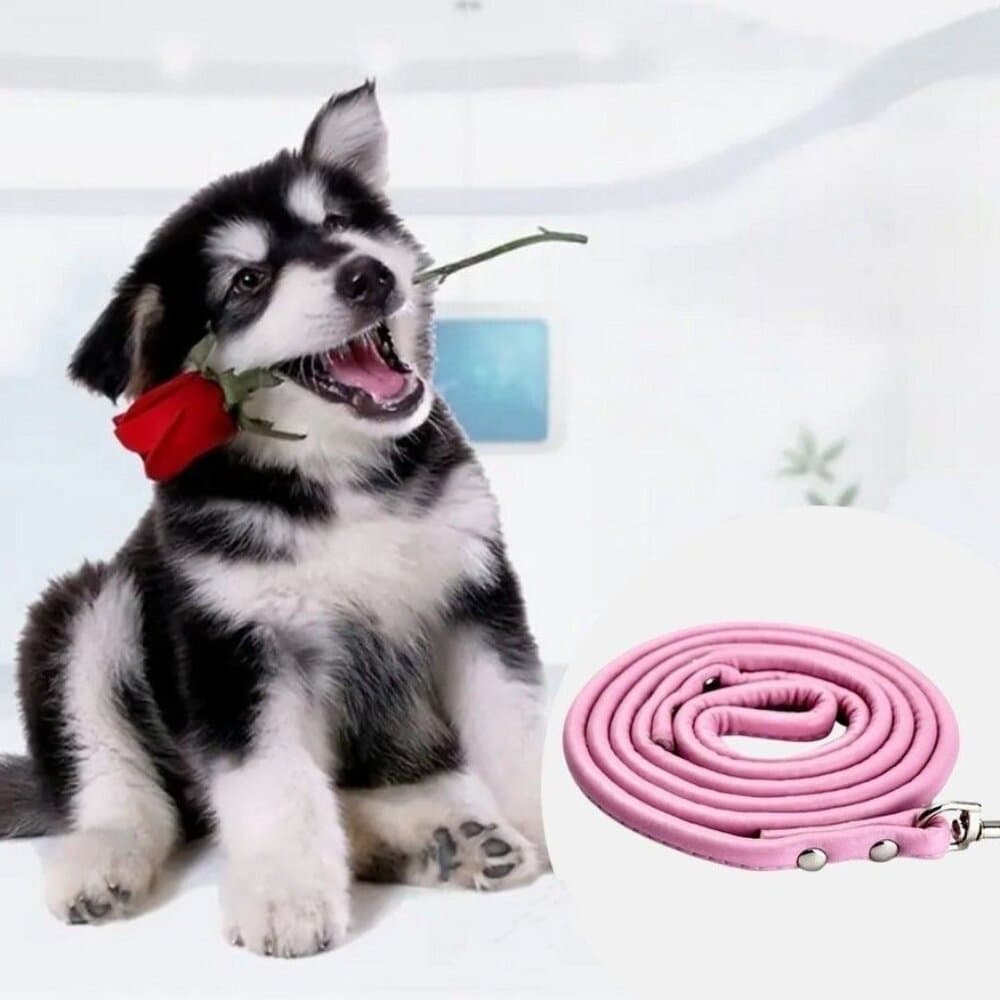Xander Rey Pink Leather Dog Leash Gift Packaged - Thumbnail 9