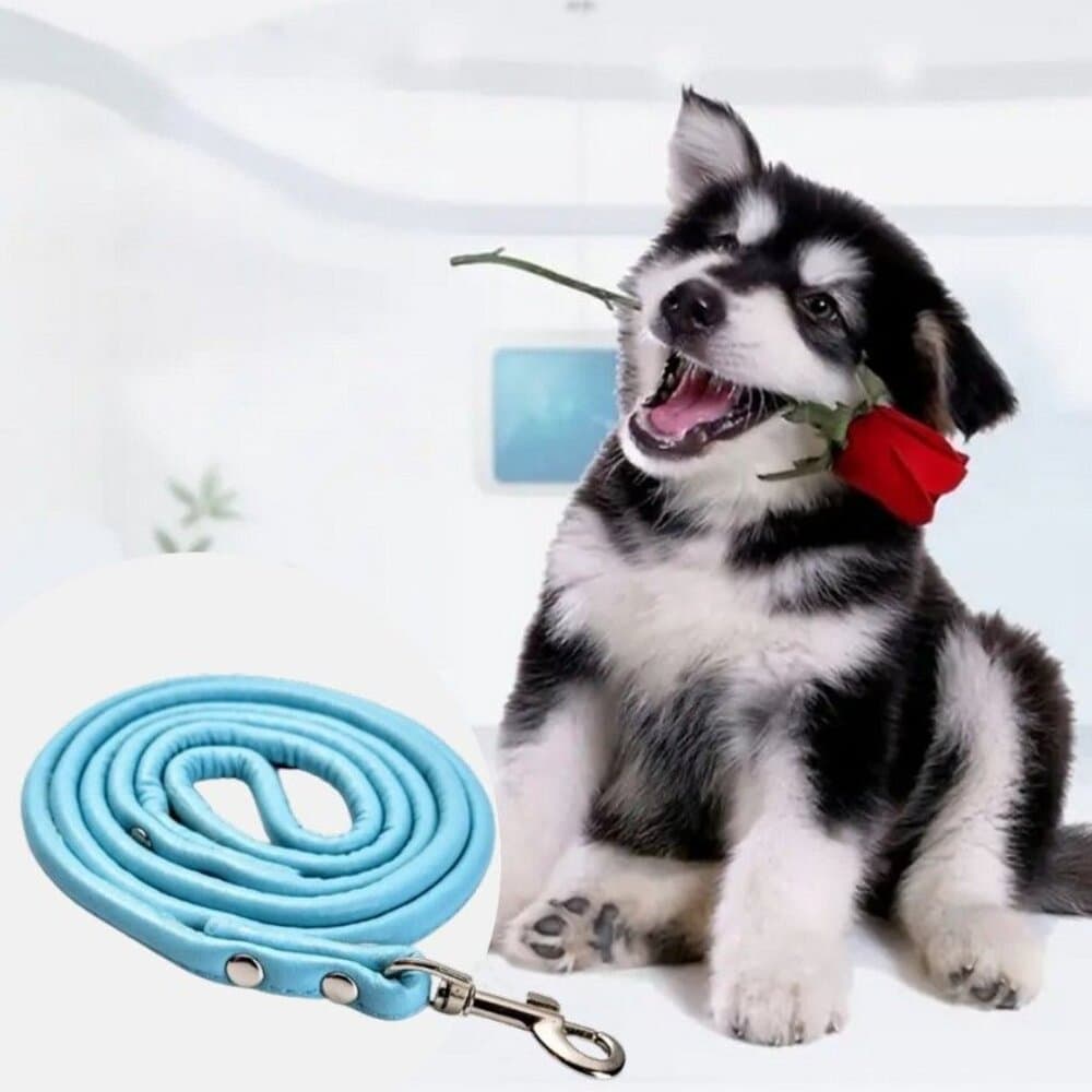 Xander Rey Light Blue Leather Dog Leash Gift Packaged - Thumbnail 4