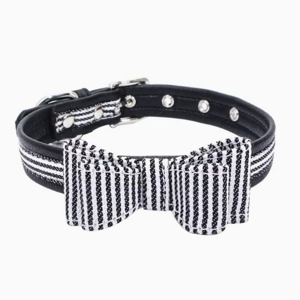 Zach Saylor Black Oxford Stripe Bow Tie Dog Collar Medium Gift Packaged - Thumbnail 9