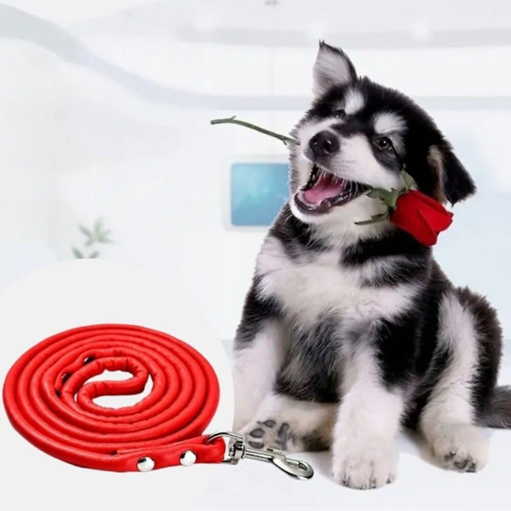 Xander Rey Red Leather Dog Leash Gift Packaged - Thumbnail 4