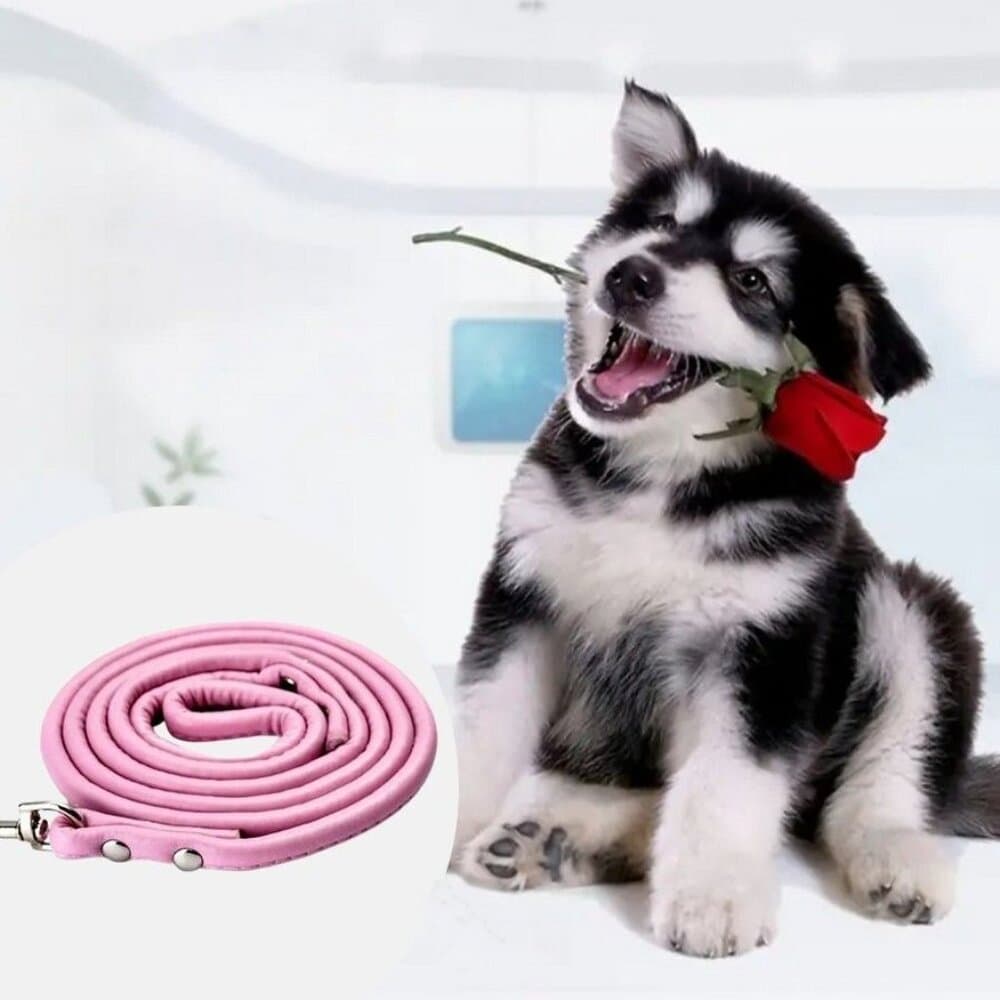 Xander Rey Pink Leather Dog Leash Gift Packaged - Thumbnail 4