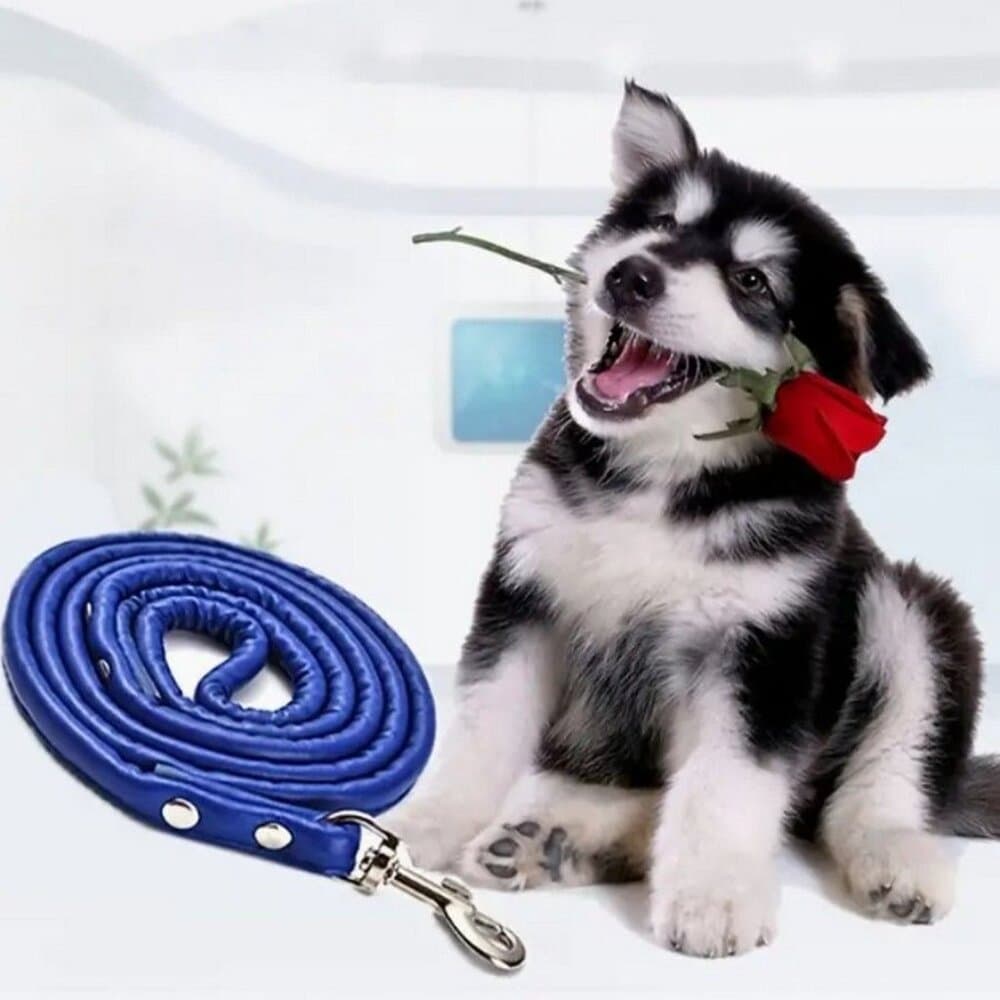 Xander Rey Dark Blue Leather Dog Leash Gift Packaged - Thumbnail 4