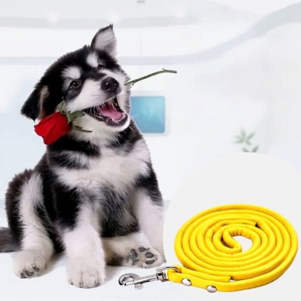 Xander Rey Yellow Leather Dog Leash Gift Packaged - Thumbnail 9