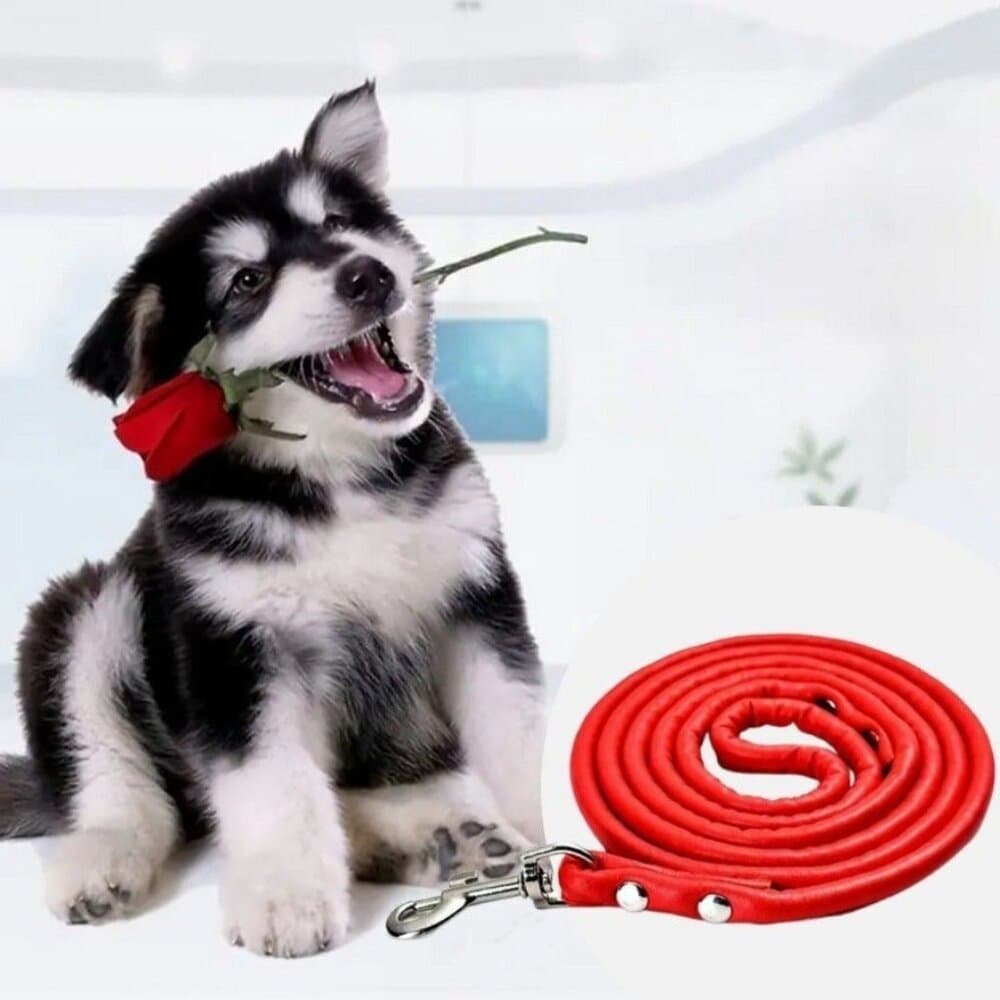 Xander Rey Red Leather Dog Leash Gift Packaged - Thumbnail 9