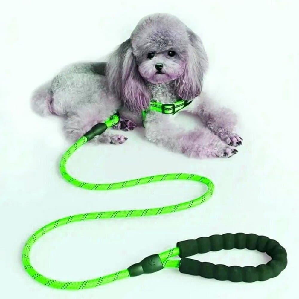 Tadeo Dash Green Reflective Rope Leash with Padded Loop Handle and Rotating Clip - Thumbnail 9