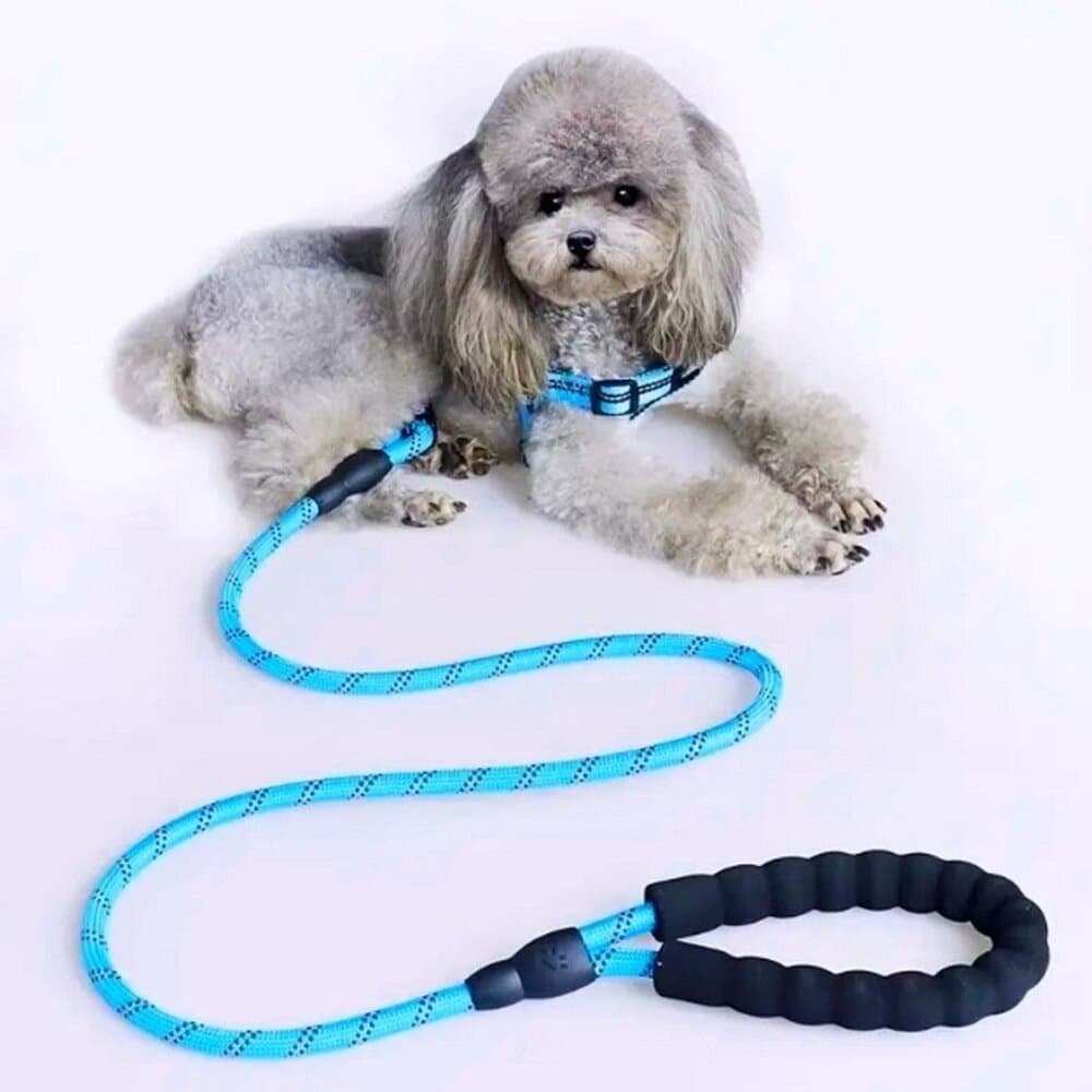 Tadeo Dash Blue Reflective Rope Leash with Padded Loop Handle and Rotating Clip - Thumbnail 9