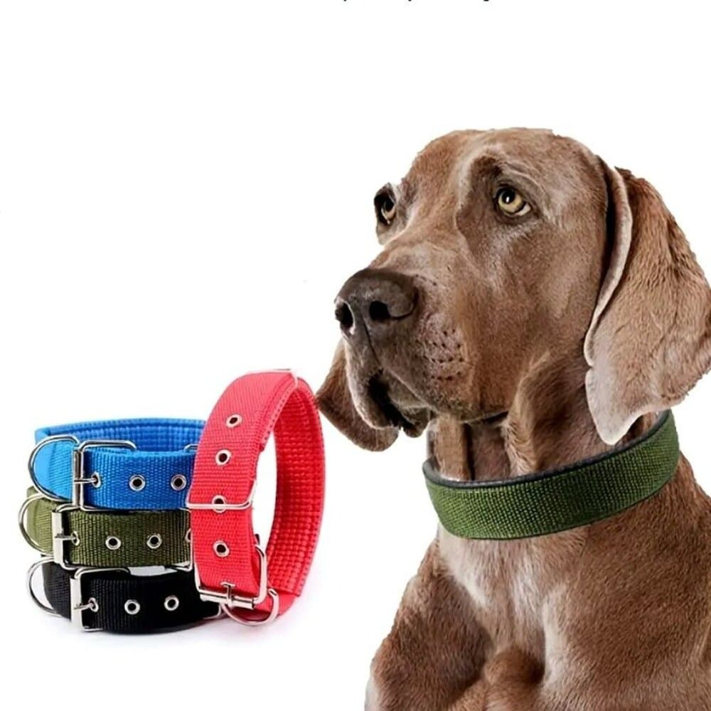 Nikalos Medium Blue Standard Nylon Comfort Strip D Ring Metal Buckle Dog Collar - Thumbnail 2