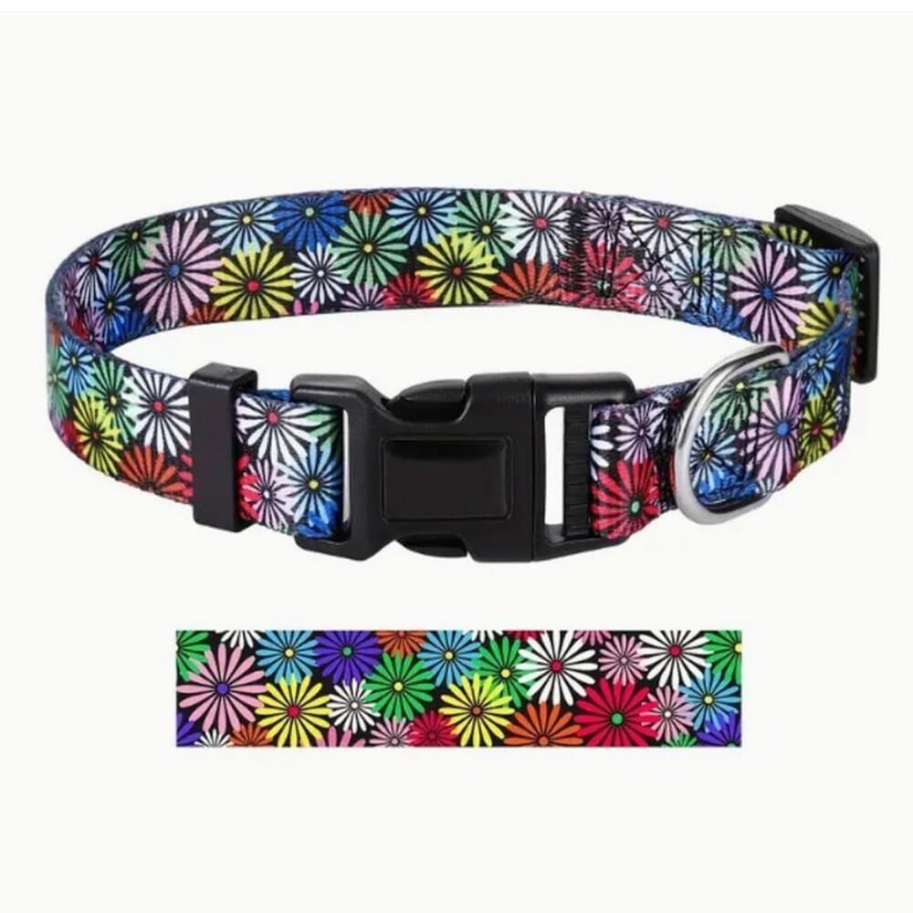 Maisette Multicolor Flowers Breakaway D Ring Dog Collar Size Large Gift Packaged - Thumbnail 3
