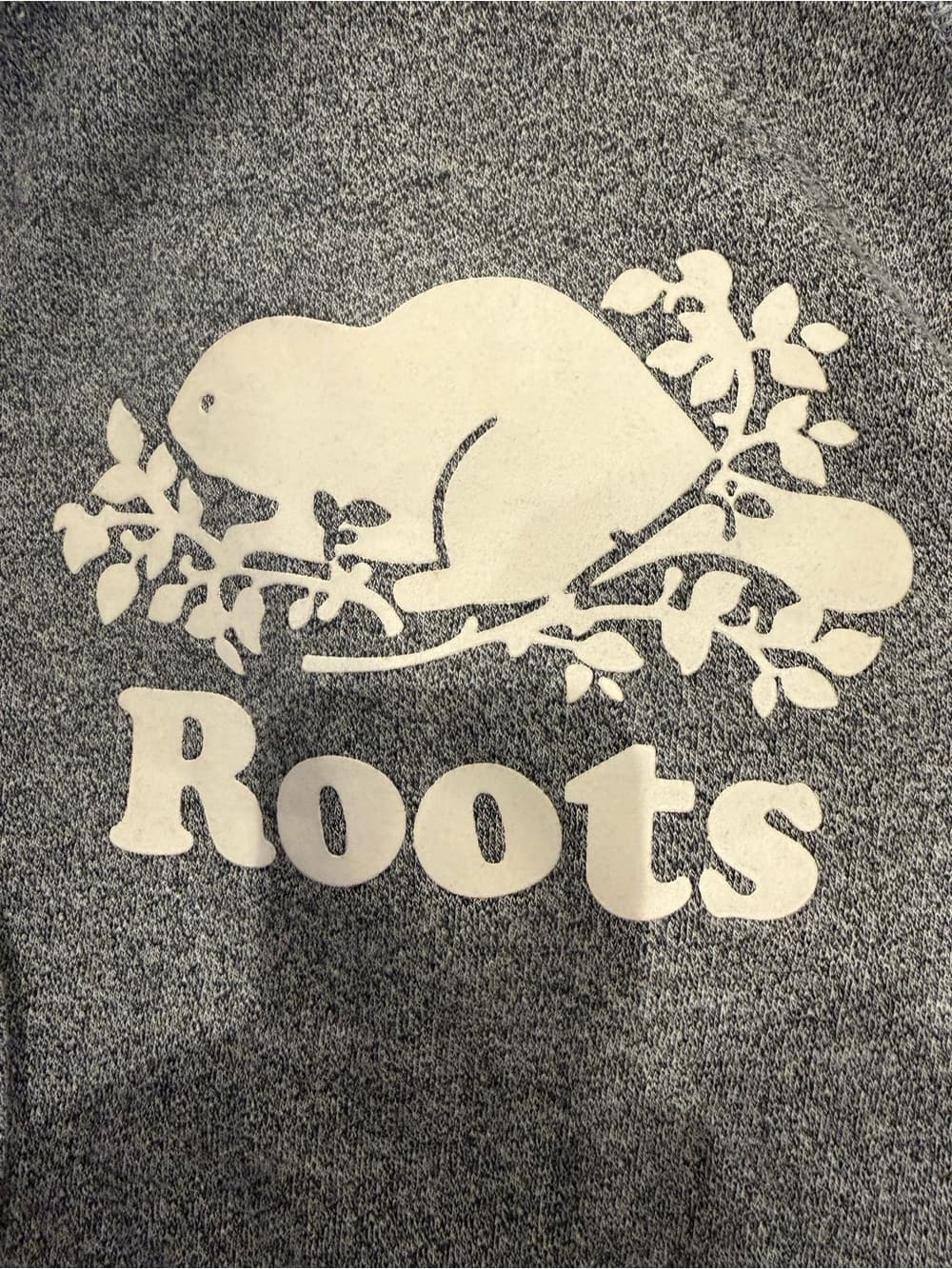 Roots Heather Gray Hoodie with Cream Maple Patch - Thumbnail 2