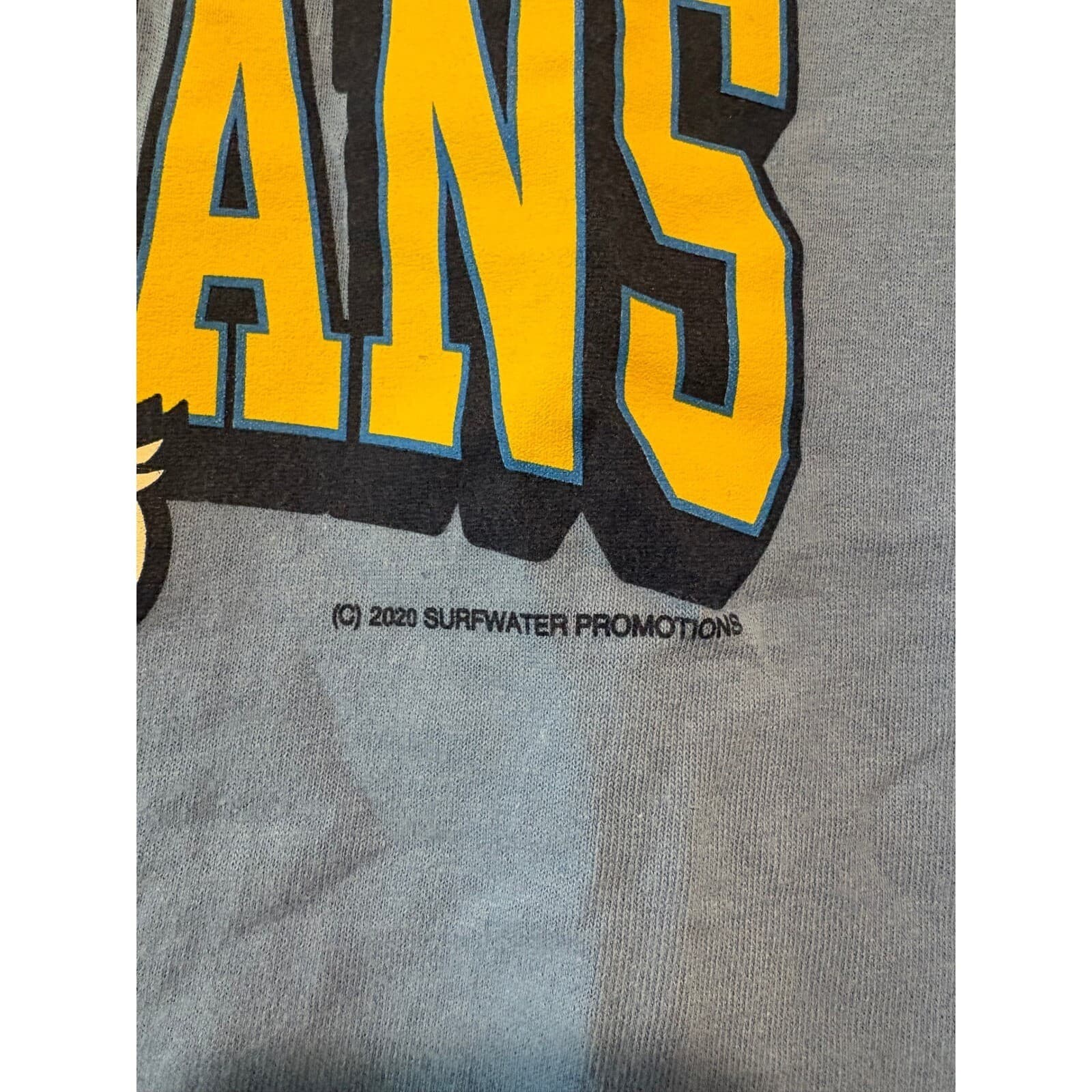 Gildan T-Shirt Mens M Blue Myrtle Beach Pelicans Baseball Graphic SGA Medium - Thumbnail 3