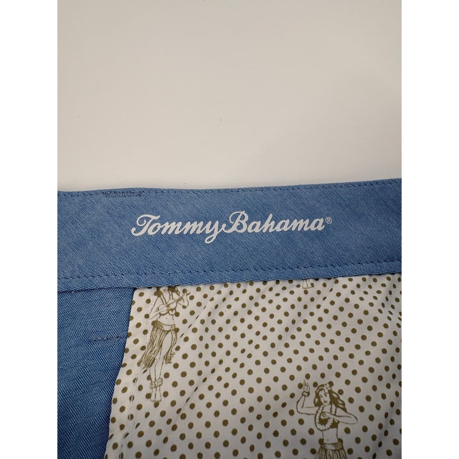 Tommy Bahama Mens Light Blue Textured Golf Chino Pants 38x34 - Thumbnail 3