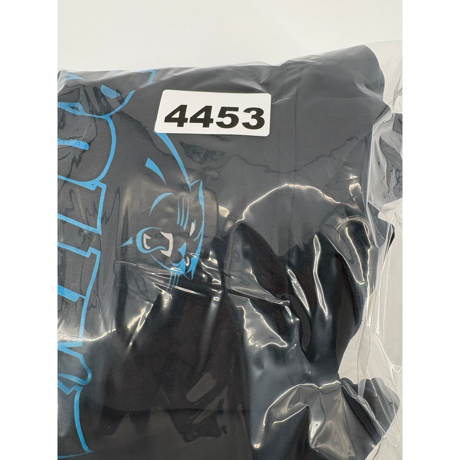Carolina Panthers NFL Team Apparel Hoodie Mens Large Black Pullover - Thumbnail 9