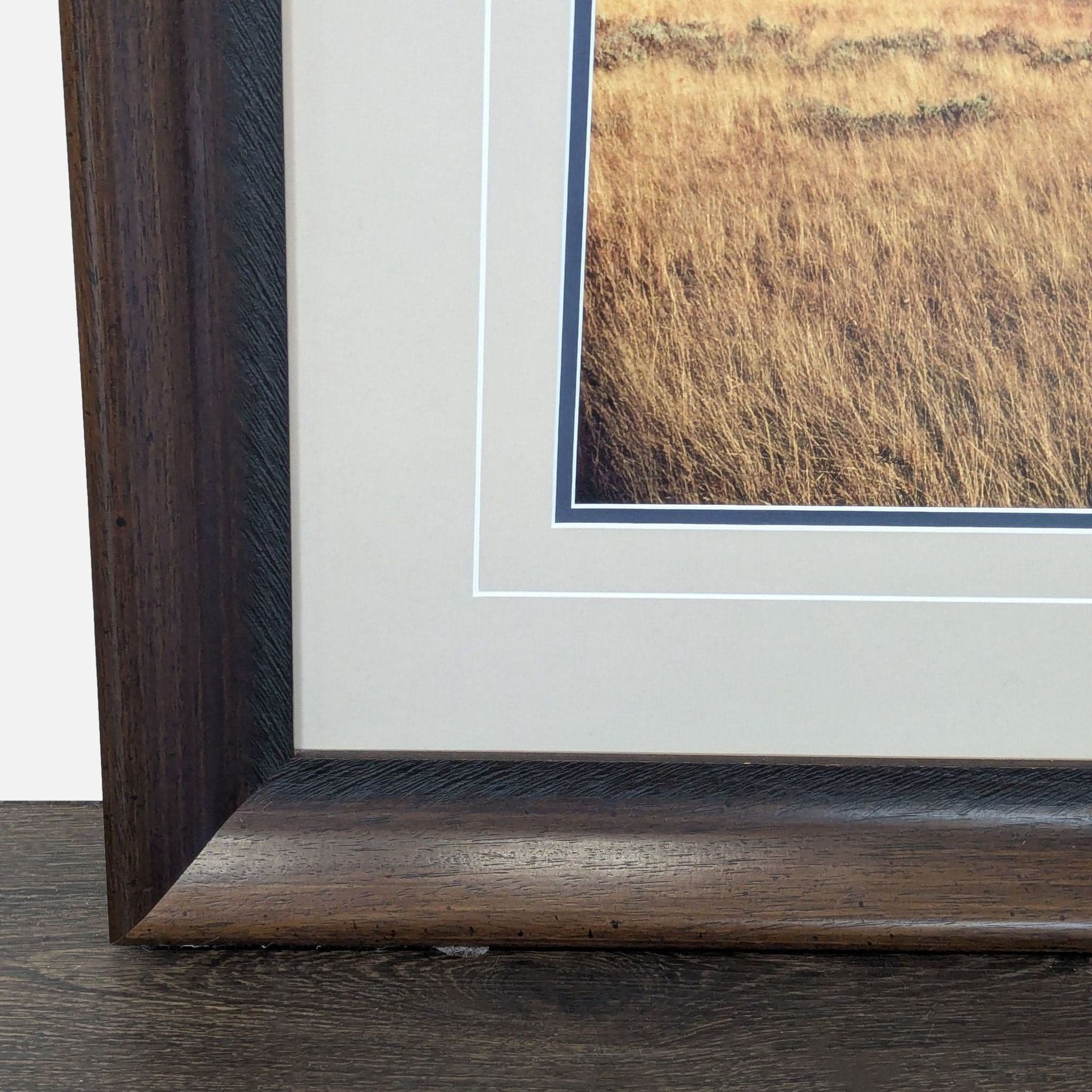 Thomas Mangelsen “Winds Of Change” Framed Landscape Print – Trees in Field Wall Art - Thumbnail 5