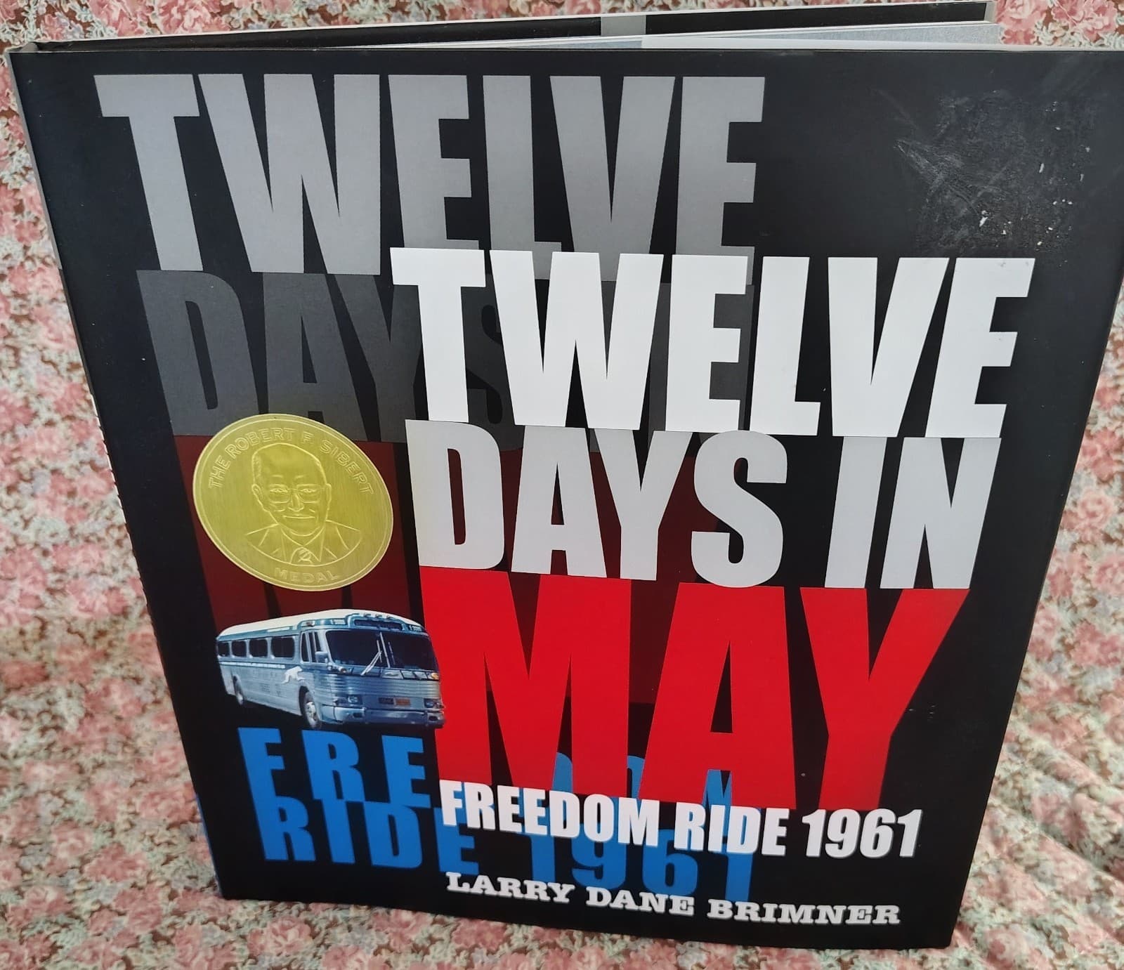 Twelve Days in May: Freedom Ride 1961 HARDCOVER Book - Larry Dane Brimner NEW