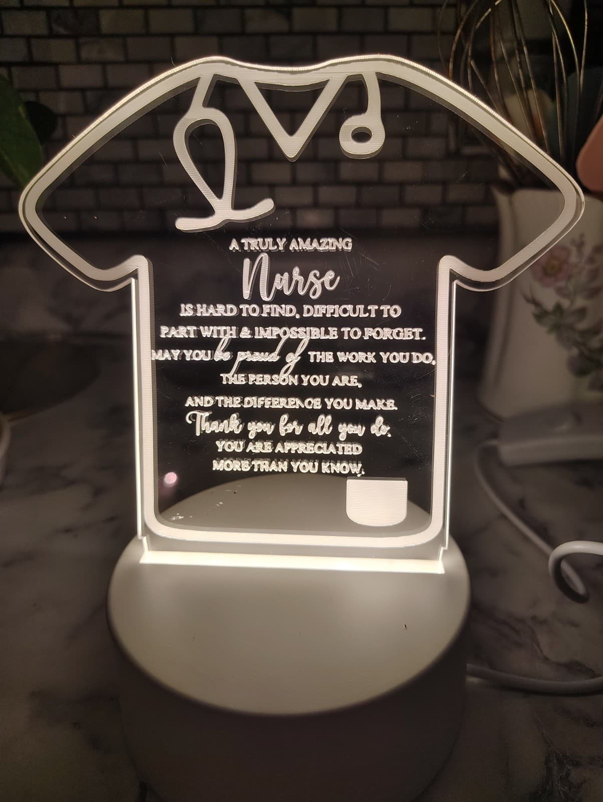 NEW Nurse Appreciation LED Light