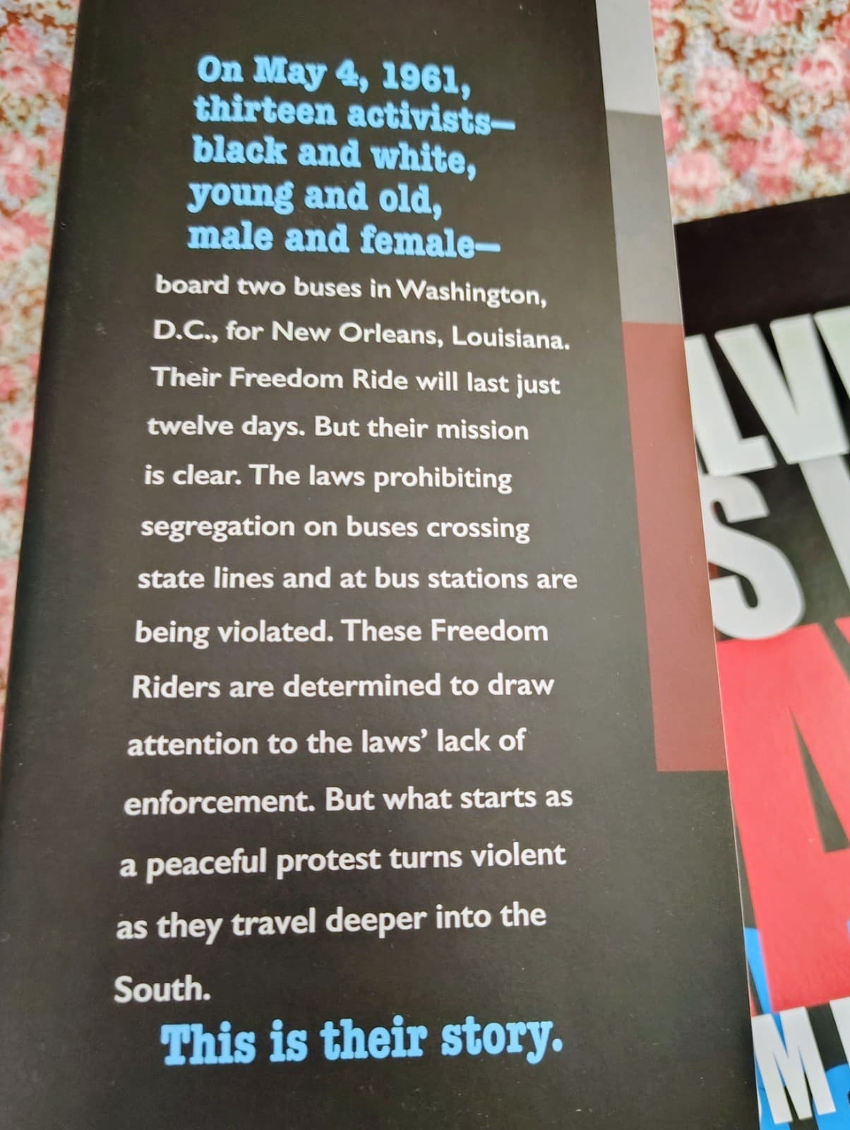Twelve Days in May: Freedom Ride 1961 HARDCOVER Book - Larry Dane Brimner NEW - Thumbnail 3