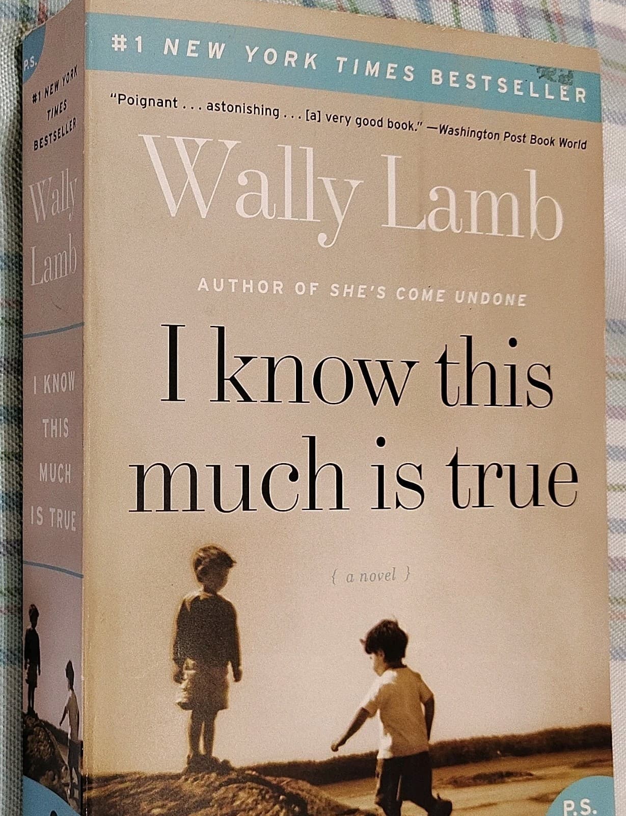 I Know This Much Is True by Wally Lamb, Harper Perennial, 2008, Trade PB, 1st Ed - Thumbnail 3