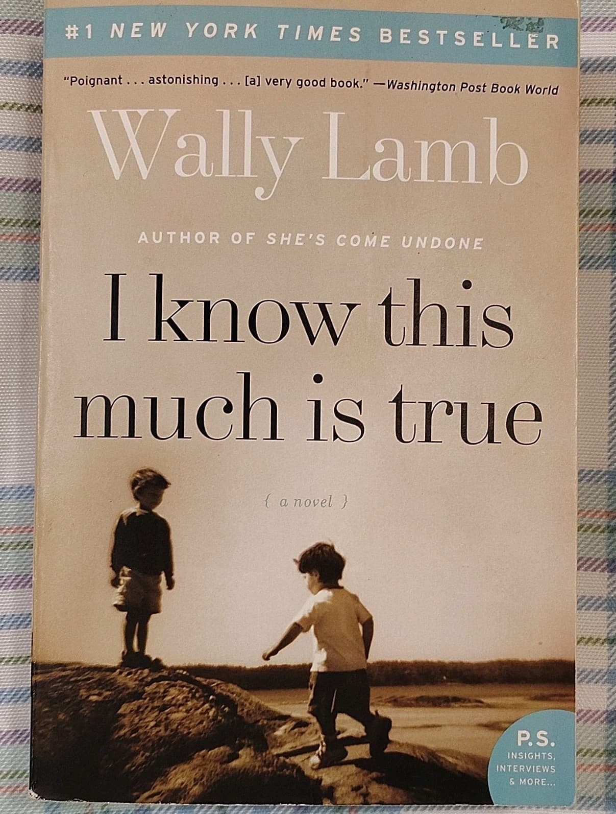 I Know This Much Is True by Wally Lamb, Harper Perennial, 2008, Trade PB, 1st Ed